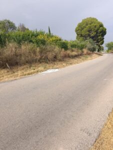 Finca rústica en venta en OTRAS, Cehegin