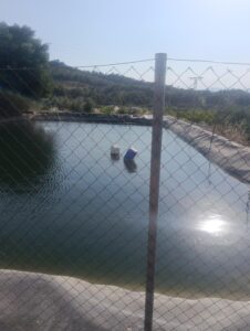 Finca rústica en venta en OTRAS, Cehegin