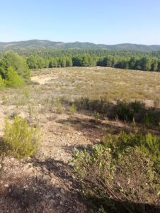 Finca rústica en venta en OTRAS, Cehegin