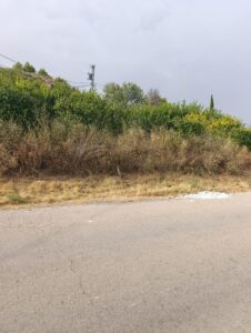 Finca rústica en venta en OTRAS, Cehegin
