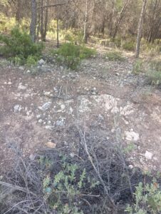 Finca rústica en venta en OTRAS, Cehegin