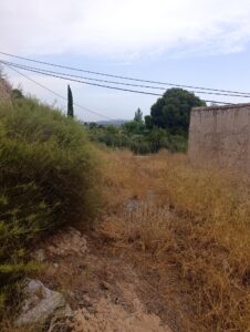 Finca rústica en venta en OTRAS, Cehegin