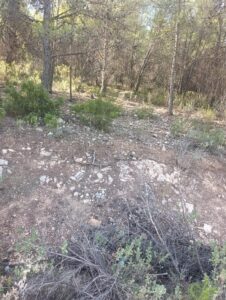 Finca rústica en venta en OTRAS, Cehegin