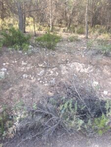 Finca rústica en venta en OTRAS, Cehegin