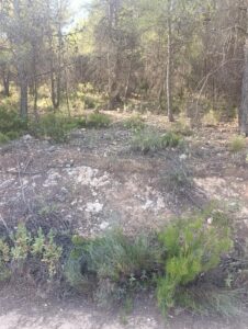 Finca rústica en venta en OTRAS, Cehegin