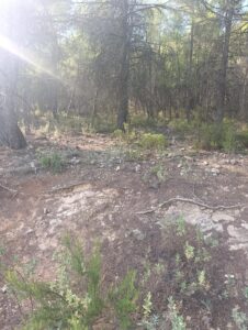 Finca rústica en venta en OTRAS, Cehegin