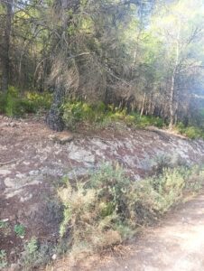 Finca rústica en venta en OTRAS, Cehegin