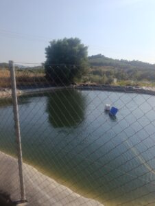 Finca rústica en venta en OTRAS, Cehegin