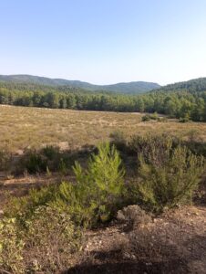 Finca rústica en venta en OTRAS, Cehegin