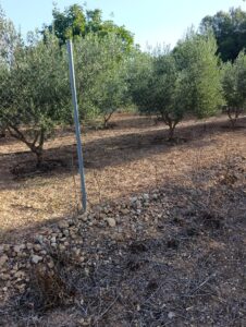 Finca rústica en venta en OTRAS, Cehegin