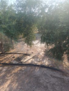 Finca rústica en venta en OTRAS, Cehegin