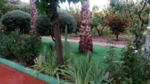 Finca rústica en venta en OTRAS, Cehegin