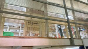 Local comercial en venta en Avenida Juan De Borbon, Murcia