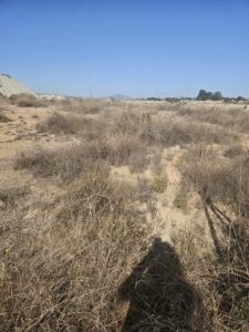 Monte en venta en El romeral, Molina de Segura