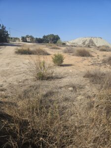 Monte en venta en El romeral, Molina de Segura