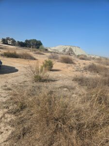 Monte en venta en El romeral, Molina de Segura