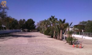 Negocio en venta en Torrealta-Ribera de Molina, Molina de Segura
