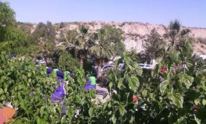 Negocio en venta en Torrealta-Ribera de Molina, Molina de Segura