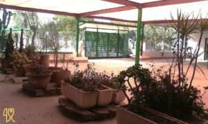 Negocio en venta en Torrealta-Ribera de Molina, Molina de Segura