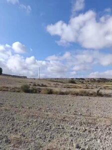 Parcela en alquiler en Mula, Mula