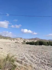 Parcela en alquiler en Mula, Mula