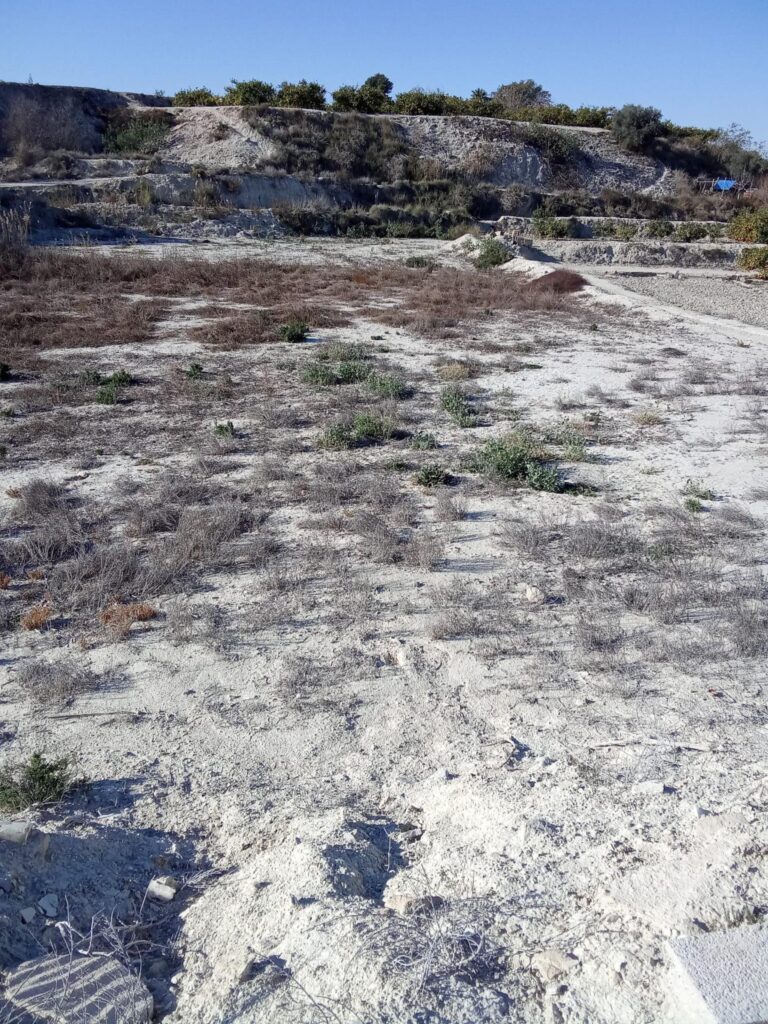 Parcela en venta en Alguazas, Alguazas