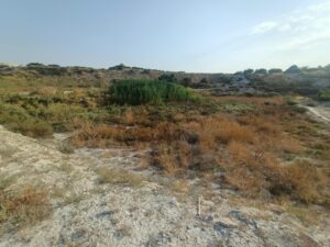 Parcela en venta en Alguazas, Alguazas