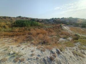 Parcela en venta en Alguazas, Alguazas