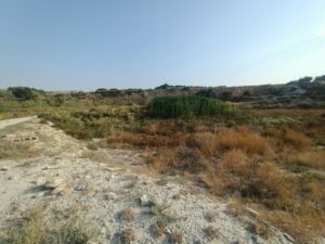 Parcela en venta en Alguazas, Alguazas