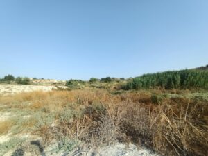 Parcela en venta en Alguazas, Alguazas