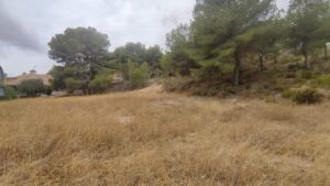 Parcela en venta en Altorreal, Molina de Segura