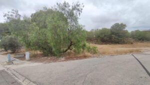 Parcela en venta en Altorreal, Molina de Segura