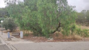 Parcela en venta en Altorreal, Molina de Segura