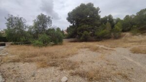 Parcela en venta en Altorreal, Molina de Segura