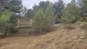 Parcela en venta en Altorreal, Molina de Segura