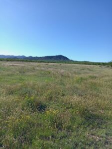 Parcela en venta en Campo de ricote, Ricote