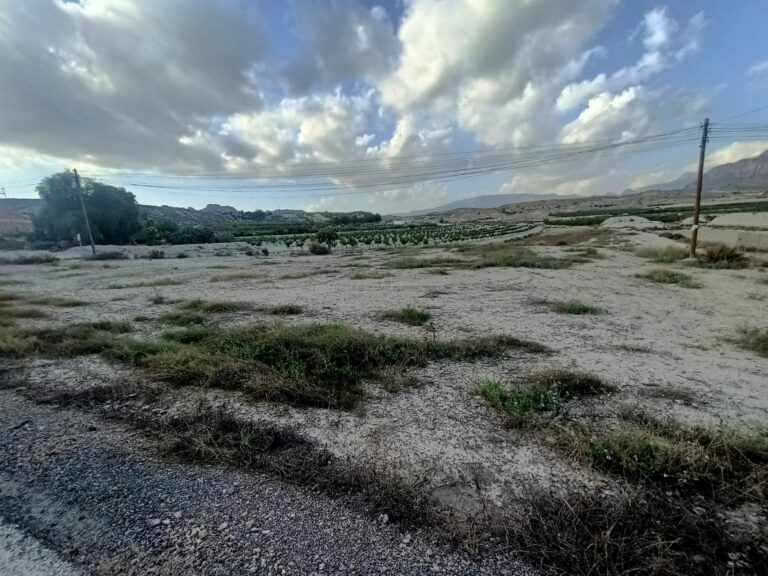Parcela en venta en El Fenazar, Molina de Segura