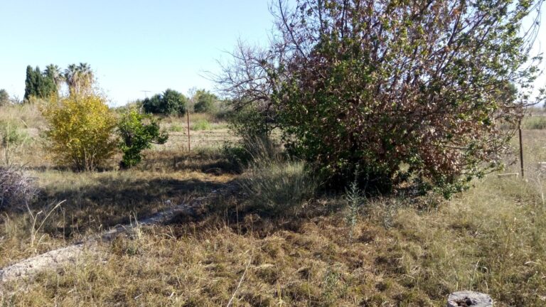 Parcela en venta en El Llano de Molina, Molina de Segura