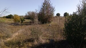 Parcela en venta en El Llano de Molina, Molina de Segura