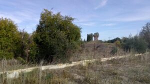 Parcela en venta en El Llano de Molina, Molina de Segura