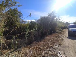 Parcela en venta en El palmar, El Palmar