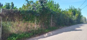 Parcela en venta en Guadalupe, Murcia