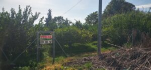 Parcela en venta en Guadalupe, Murcia