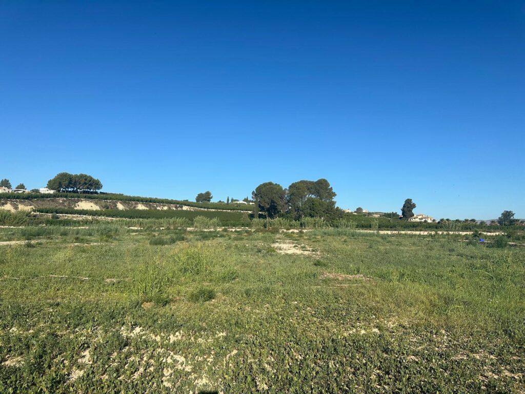 Parcela en venta en LA PARRA, Cieza