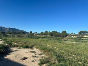 Parcela en venta en LA PARRA, Cieza