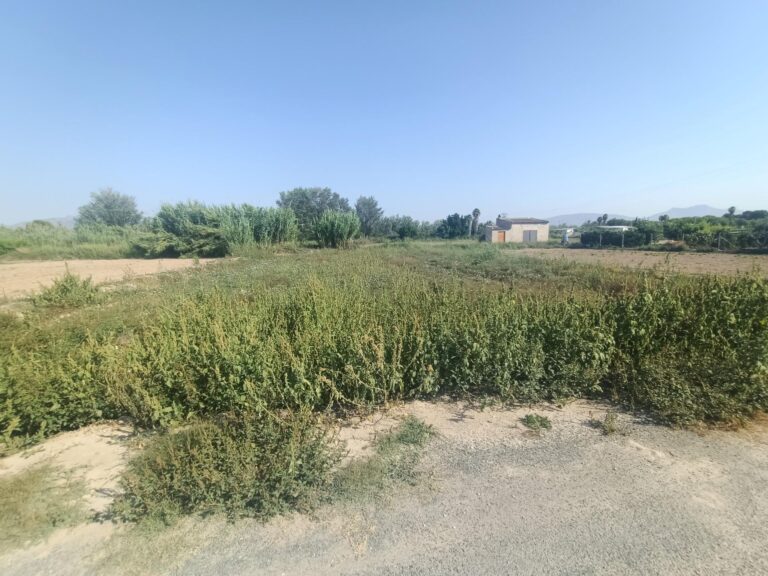 Parcela en venta en Lorquí, Lorqui