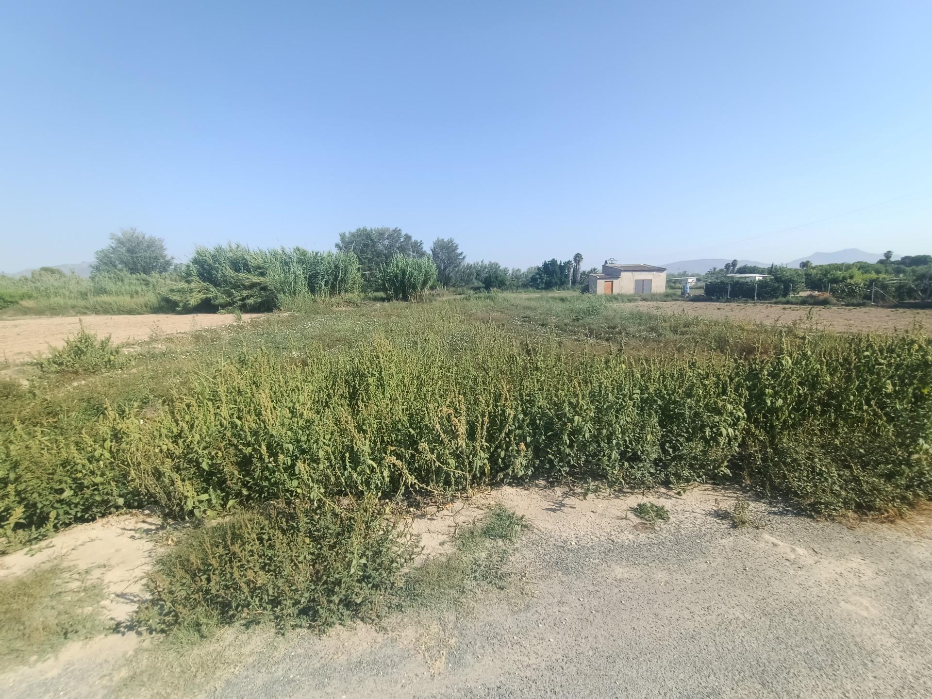 Parcela en venta en Lorquí, Lorqui