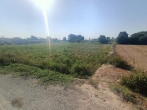 Parcela en venta en Lorquí, Lorqui