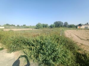 Parcela en venta en Lorquí, Lorqui