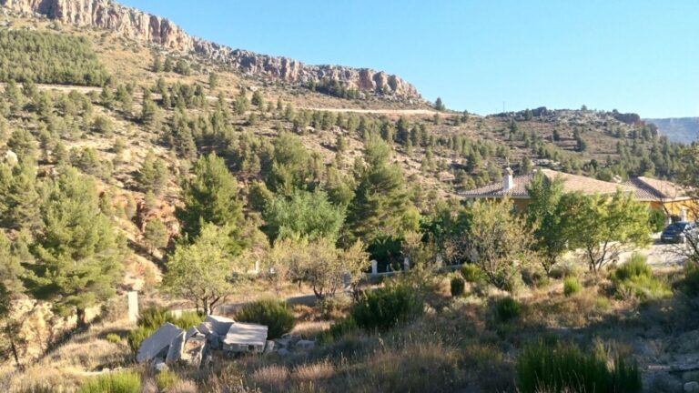 Parcela en venta en Nerpio, Nerpio
